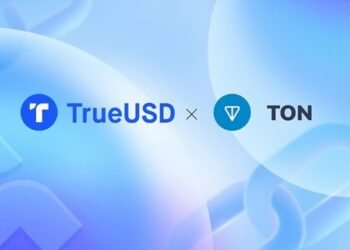 Стейблкоин TUSD был интегрирован в сеть TON