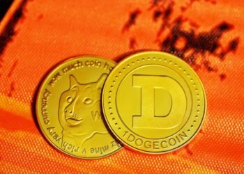 С чем связан взлёт «мемных» валют в последнее время?