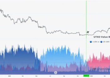 61% всех Биткоинов контролируется крупными игроками — китами
