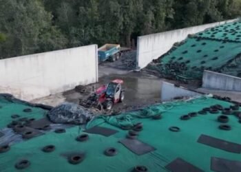 Ирландский фермер превращает коровий навоз в биткоины