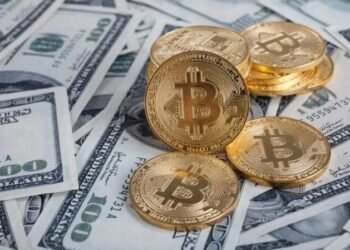 Опрос: 76% владельцев криптовалют из США верят в будущее блокчейна и цифровых активов