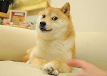 ChatGPT определил цену Dogecoin на 1 июля