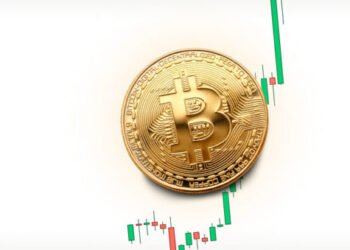 Чего сейчас ждать от рынка криптовалют