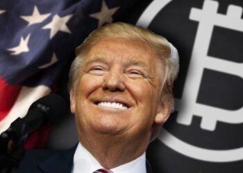 Трампы заработали на криптопроектах $620 млн