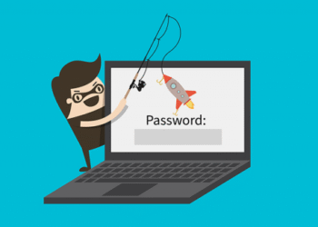 Криптоинвестор лишился $1,23 млн из-за фишингового сайта