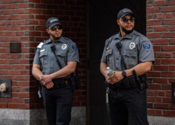 Популярный Биткоин-инвестор хочет создать частную полицию в Великобритании. Зачем это нужно?