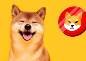 Сообщество Shiba Inu требует смены руководства