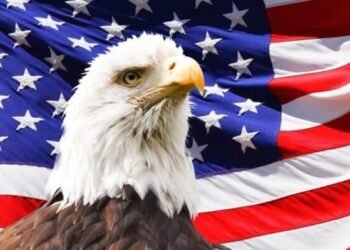 Project Crypto: как США на самом деле пытаются стать мировым лидером в сфере криптовалют и блокчейна?