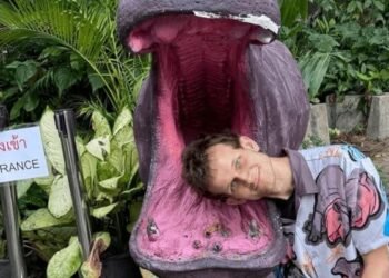 Эфириум вырос выше 4000 долларов впервые с декабря 2024 года. Почему это произошло?