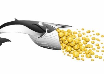 Киты вернулись: крупные держатели биткоина снова накапливают монеты на уровне $71 000