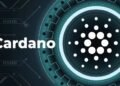 Генеральный директор фонда Cardano (ADA) сделал многообещающие прогнозы относительно будущего ADA!