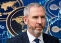 Генеральный директор Ripple (XRP) Брэд Гарлингхаус: «2026 год станет рекордным»