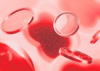 В Испании арестовали подозреваемого по делу о похищении соучредителя Ledger