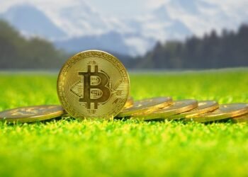 В сибирском лесу нашли замаскированную майнинговую ферму