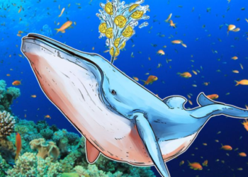 Криптокит вывел с Binance $16 млн в альткоинах, опустошив кошелек