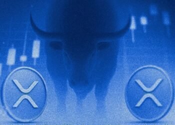 Резервы XRP на Binance достигли максимума на фоне возвращения крупных инвесторов