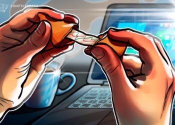 CEO Wintermute назвал три основных пути развития криптоиндустрии