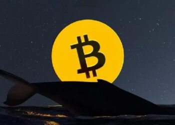 Крупные биткоин-активы молчат, мелкие инвесторы пытаются купить каждый падающий курс: что может произойти дальше?