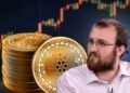 Чарльз Хоскинсон, основатель Cardano (ADA): «Если личность Сатоши Накамото будет раскрыта, Биткоин будет уничтожен»