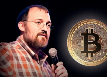 Чарльз Хоскинсон говорит, что у биткоина есть три варианта развития событий! «В одном из них система полностью рухнет»
