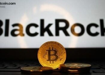 Blackrock возглавляет распродажу биткоин-ETF на сумму 733 млн долларов, в то время как фонды HYPE продолжают привлекать инвестиции