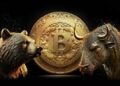 Опытный аналитик утверждает, что медвежий рынок биткоина закончился, и предсказывает, что произойдет дальше!