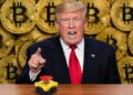 Трамп нажал на кнопку: начался 120-дневный отсчет для криптовалют!