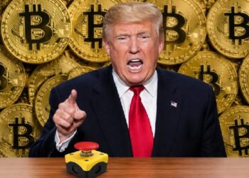 Трамп нажал на кнопку: начался 120-дневный отсчет для криптовалют!