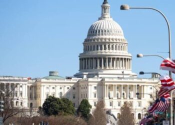 Сенатор добивается введения Трампом запрета на криптовалюты, поскольку 63 % опрошенных считают его доходы неуместными