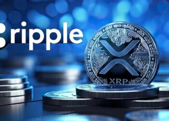 У компании Ripple двойная цель: «IPO и Закон о ясности!» Важные заявления от генерального директора и главного юриста Ripple!