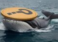 Биткоин (BTC) изменил направление, крупные инвесторы активизировались: вот альткоины, которыми они торгуют…