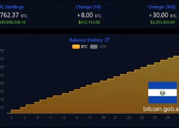 Несмотря на оговорки МВФ, запасы биткойнов в Сальвадоре выросли до 7 762 BTC