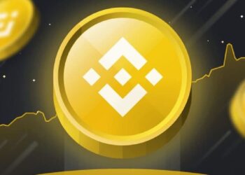 Крупнейший держатель BNB сменил название на BNB Standard после голосования сообщества