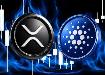Опытный аналитик утверждает, что существуют бычьи сигналы для Cardano (ADA) и Ripple (XRP)