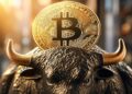 Один из директоров Fidelity дал крайне оптимистичный прогноз цены биткоина!