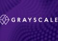 Модель Grayscale, не использующая bitcoin, приносит XRP 26,11%, уступая только эфиру