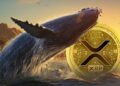 Киты перевели 1,6 млрд XRP на Binance: что происходит и грозит ли XRP распродажа
