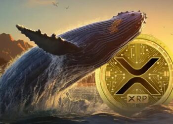 Киты перевели 1,6 млрд XRP на Binance: что происходит и грозит ли XRP распродажа
