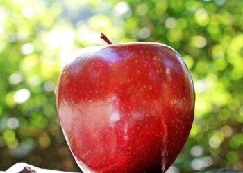 Тим Кук покинул пост главы Apple, его сменил Джон Тернус