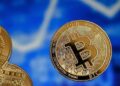 Институционалы не продали биткоин даже при падении рынка на 50%
