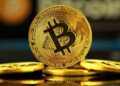 ARK Invest призвали хранить биткоин десятилетиями