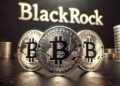 Компания BlackRock опубликовала оптимистичный анализ перспектив биткоина и альткоинов!