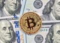 Выборы в США: Почему биткоин не отреагирует так, как ждут