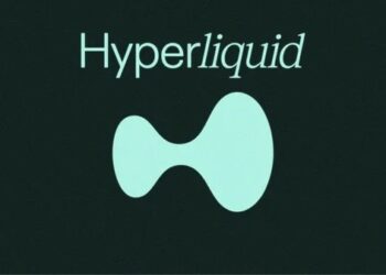 Hyperliquid сожгла 5% всех токенов HYPE на $3,89 млрд