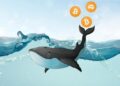Кошельки, «спящие» 12 лет, перевели биткоины на $34 млн